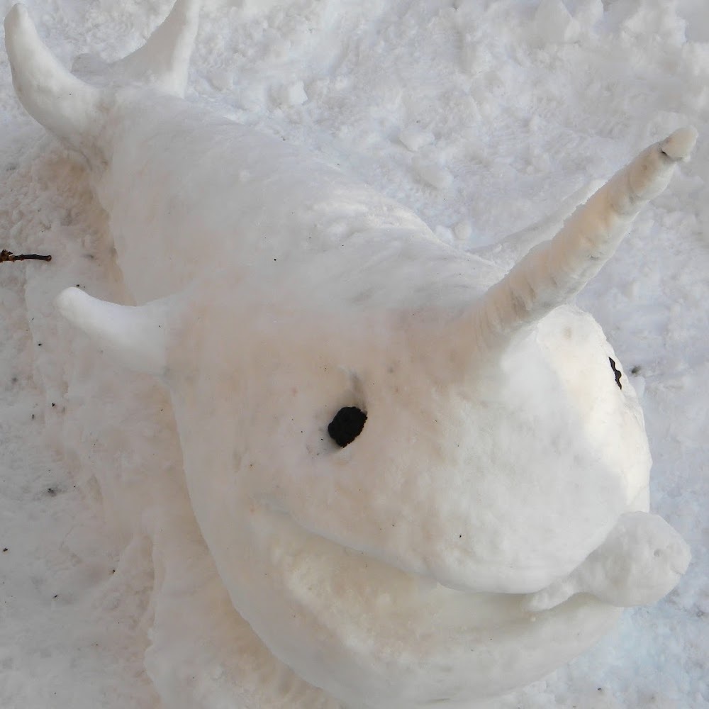 Meet your Posher, Zoe